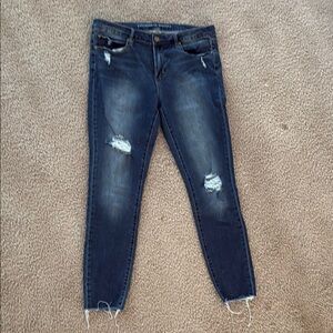Articles Of Society Blue Skinny Jeans with Distressed Hem